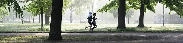 runners in park
